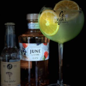 June By G'Vine Wild Peach Gin + Three Cents Tonic