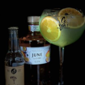 June By G'vine Mango & Passion Gin + Three Cents Tonic